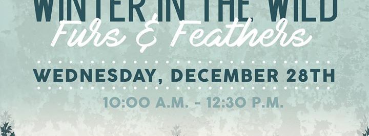 Winter in the Wild: Furs & Feathers (Youth Groups Only) - Hull, IL