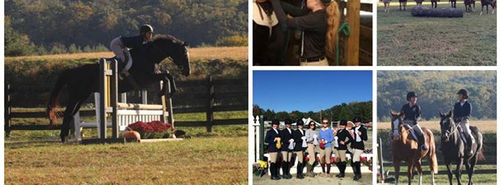 Ferrum Equestrian Collegiate Summer Riding Camp - Boones Mill, VA
