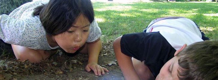 New! Stone Tools, Survival & Ancestral Skills Youth Camp - Corvallis, OR