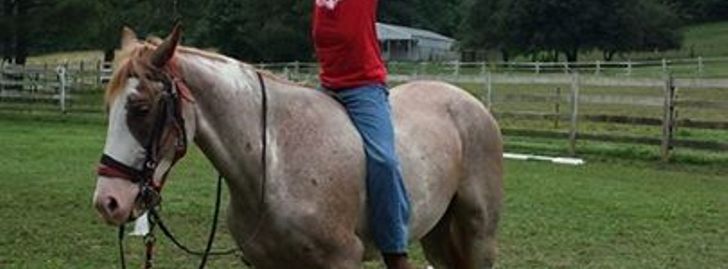 Teen Horse Day Camp - Stewart, TN