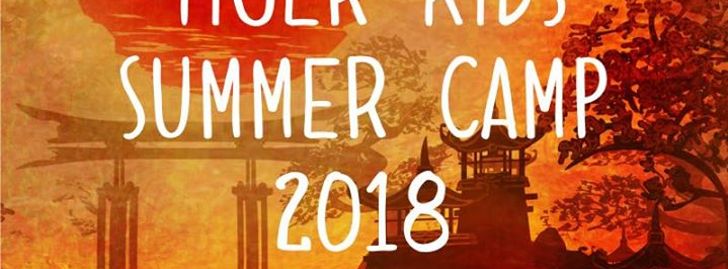 Tiger Kids Summer Camp - Copley, OH