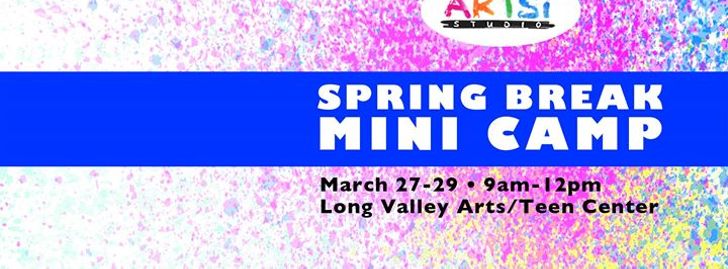 Spring Break Mini Camp with ARTSi Studio - Long Valley, NJ