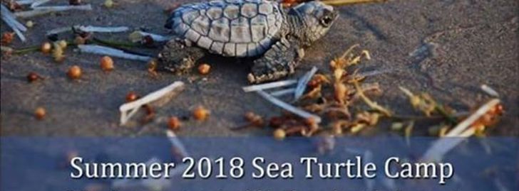 Summer 2018 Sea Turle Teen Camp - South Padre Island, TX