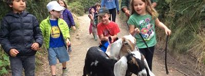 Summer Camp at Slide Ranch - Week 2: June 17-21 - Slide Explorers (5-8) & Jr Environmental Educators (14-18)