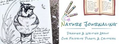 Nature Journaling with EwA