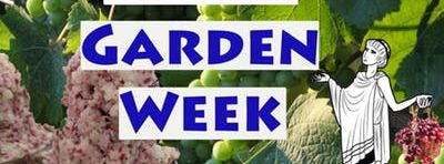 Garden Cooking Camp (Summer 2019): Greek Garden Week 1